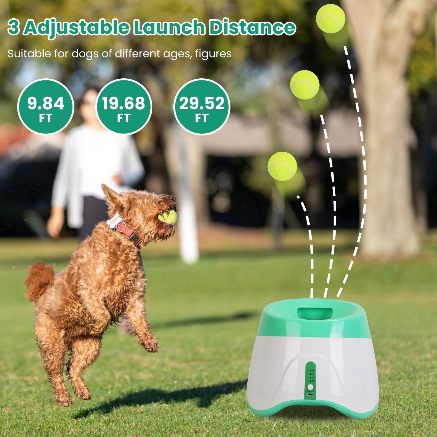 Automatic Ball Launcher for Small to Medium Dogs with 6 Tennis Balls