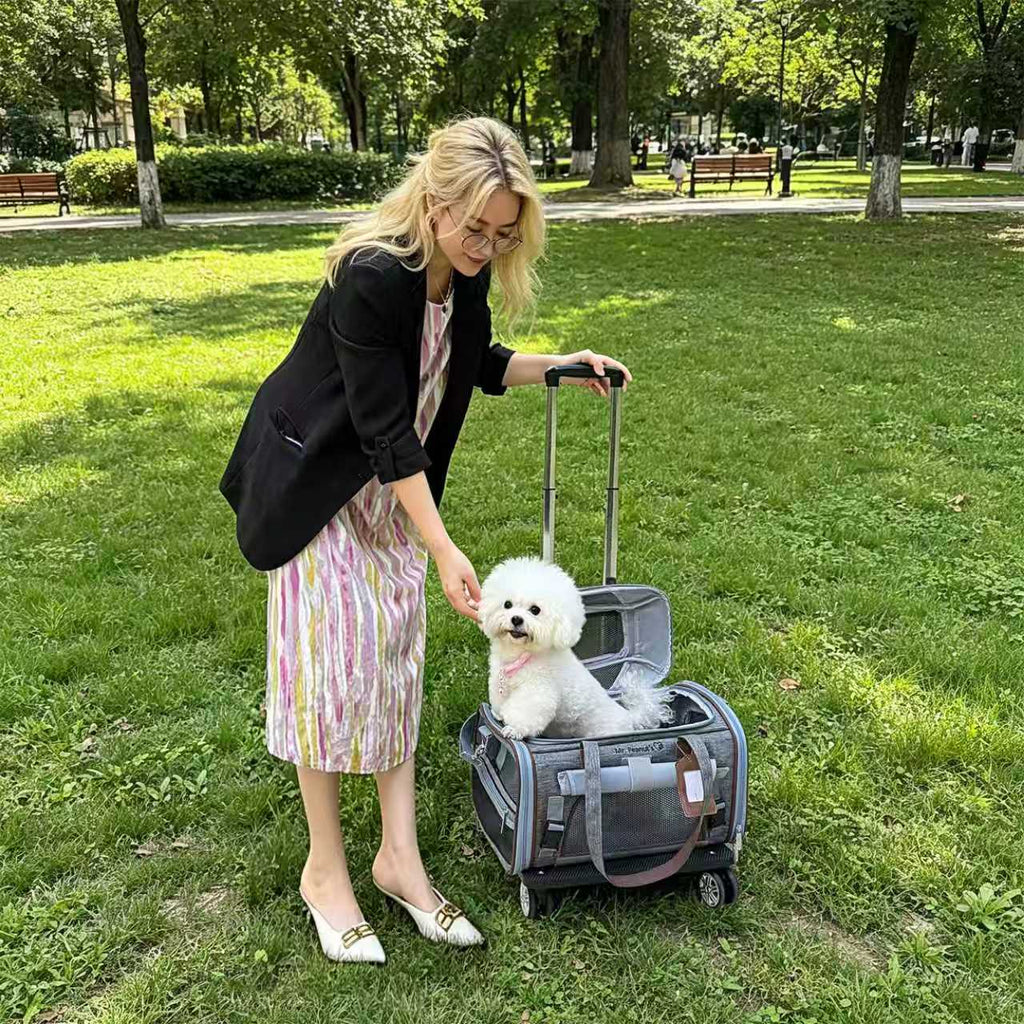 Mr. Peanut's Gold Series Mini Expandable V3.0 Pet Carrier