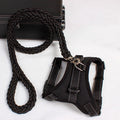Dog Chest Harness and Leash Set, Durable Nylon, Multiple Sizes