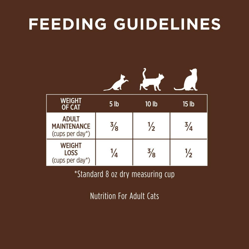 Grain-Free Dry Cat Food with Cage-Free Chicken, Raw-Coated Kibble