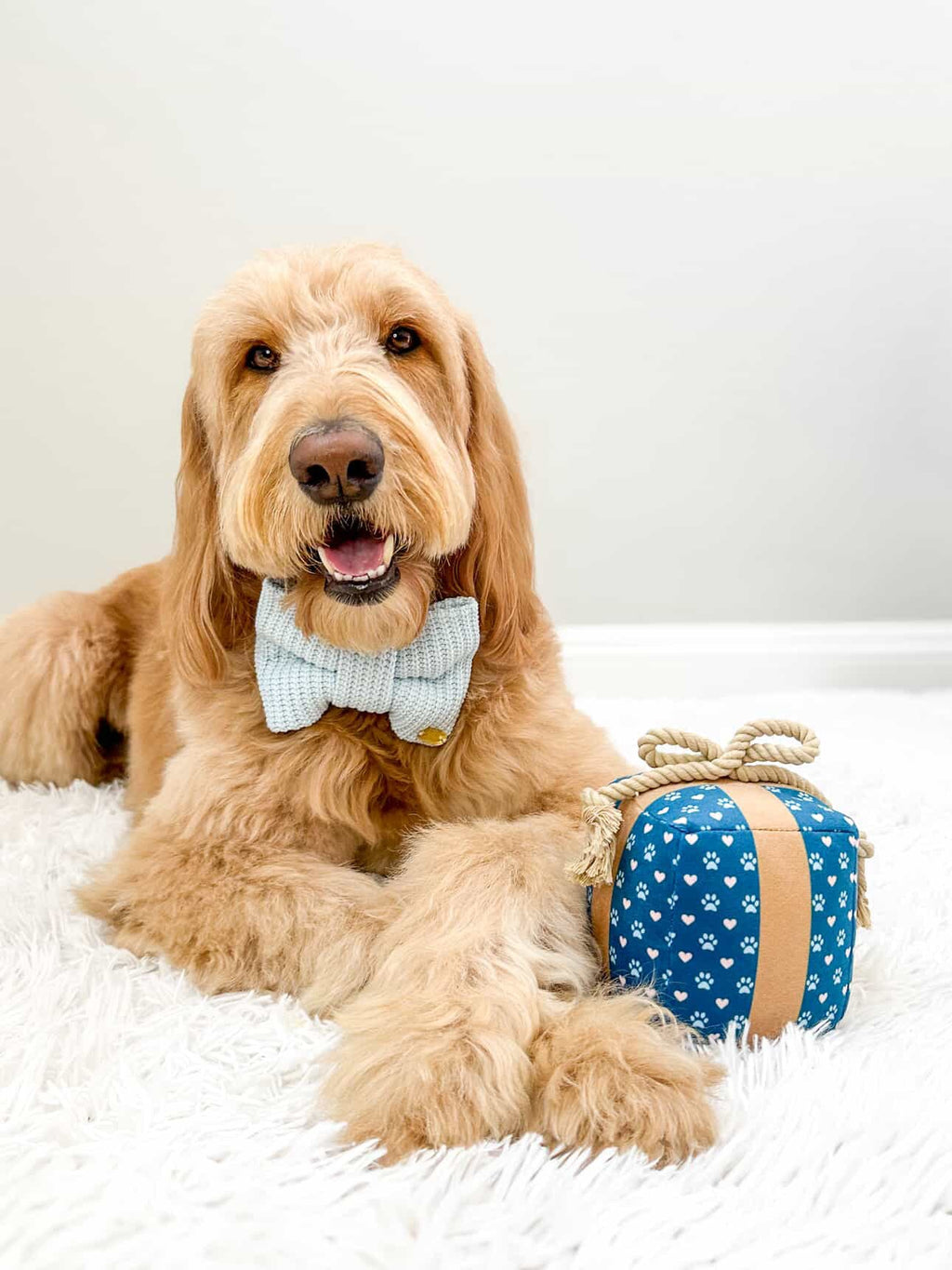 PUPROAR Gift Box Plush Dog Toy with Squeaker and Rope Bow