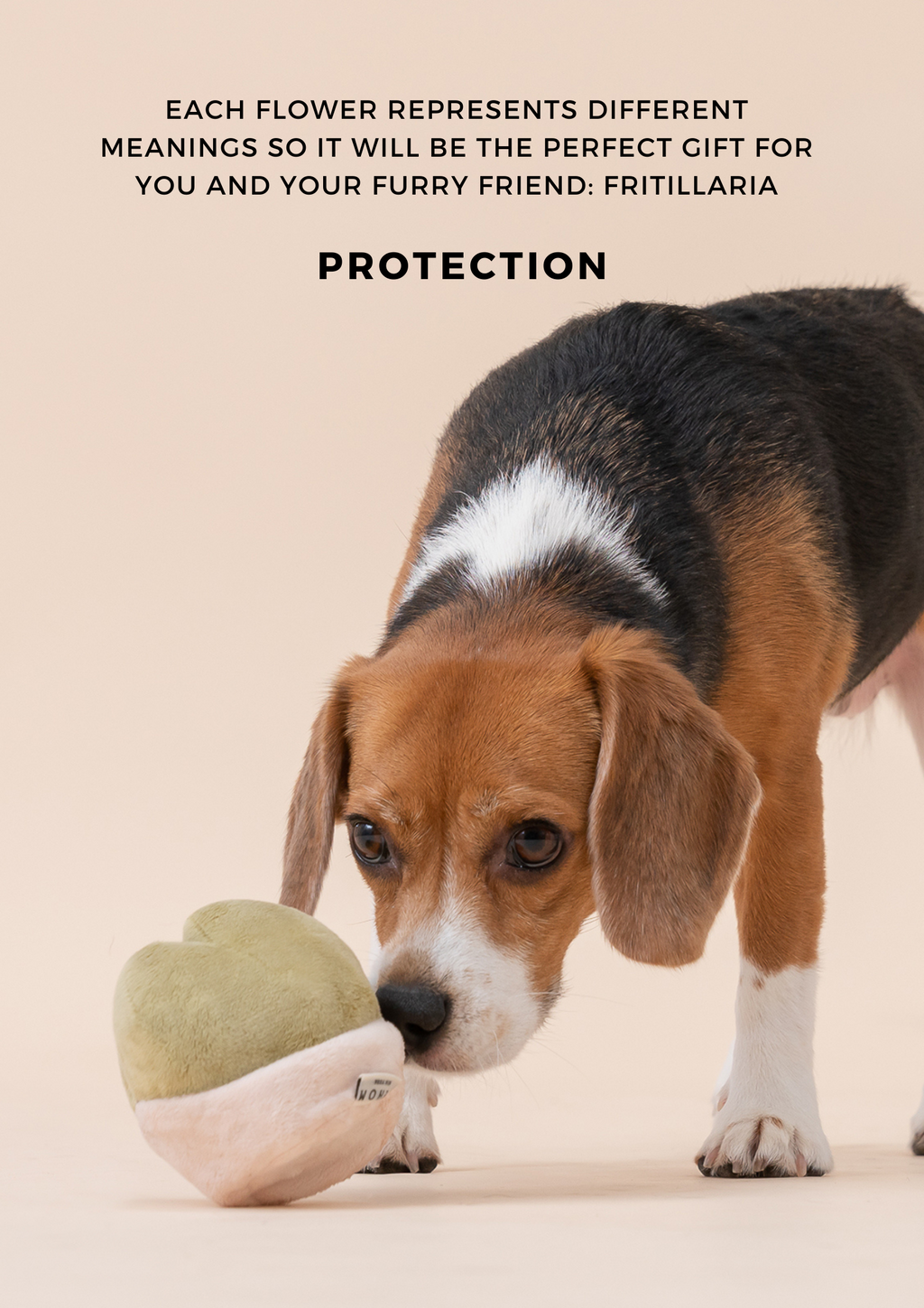 Plush Dog Toy with Squeaker and Hidden Treat Pocket