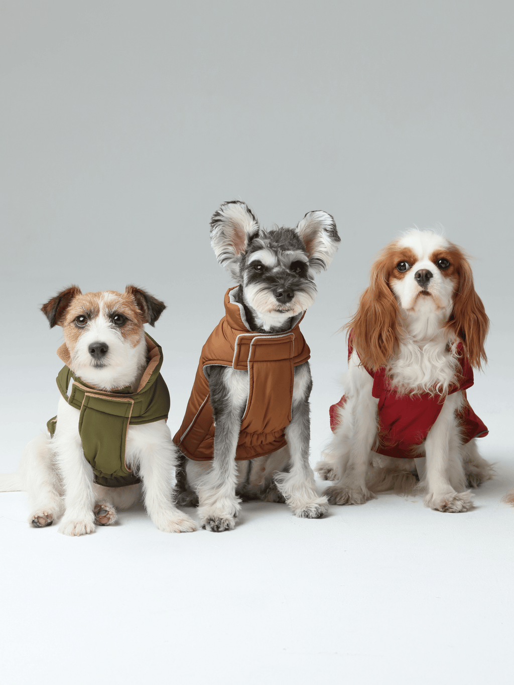 Reversible Dog Jacket with Polar Fleece Lining and Reflective Trim