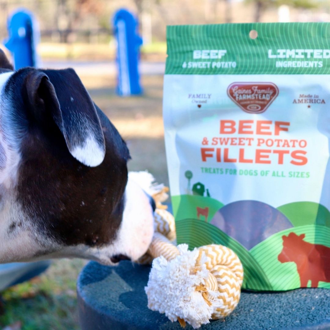 Beef & Sweet Potato Fillets Dog Treats