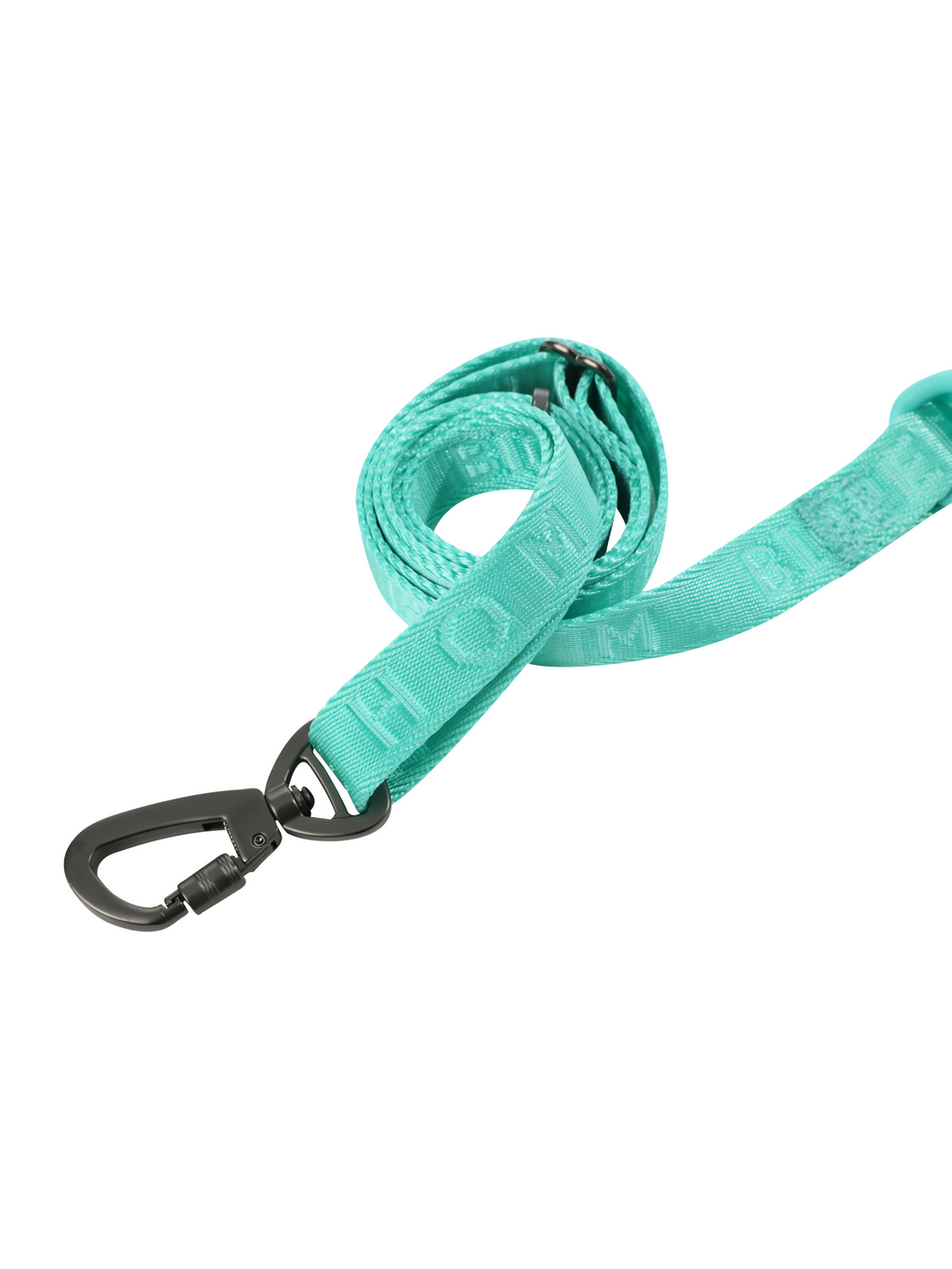 Durable Dog Leash with Padded Handle – Apricot, Mint Purple, Mint Green
