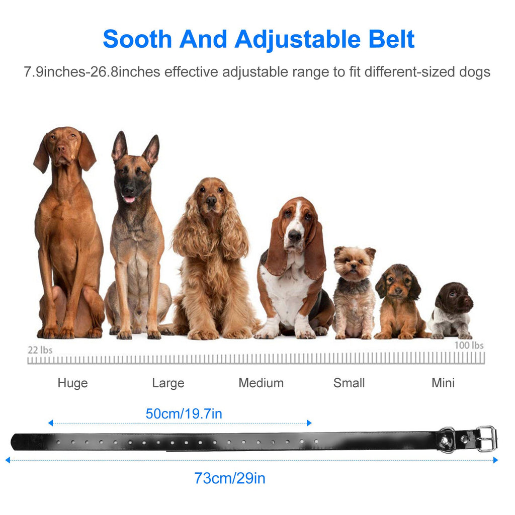 Dog Training Collar Receiver – Waterproof, Adjustable Fit