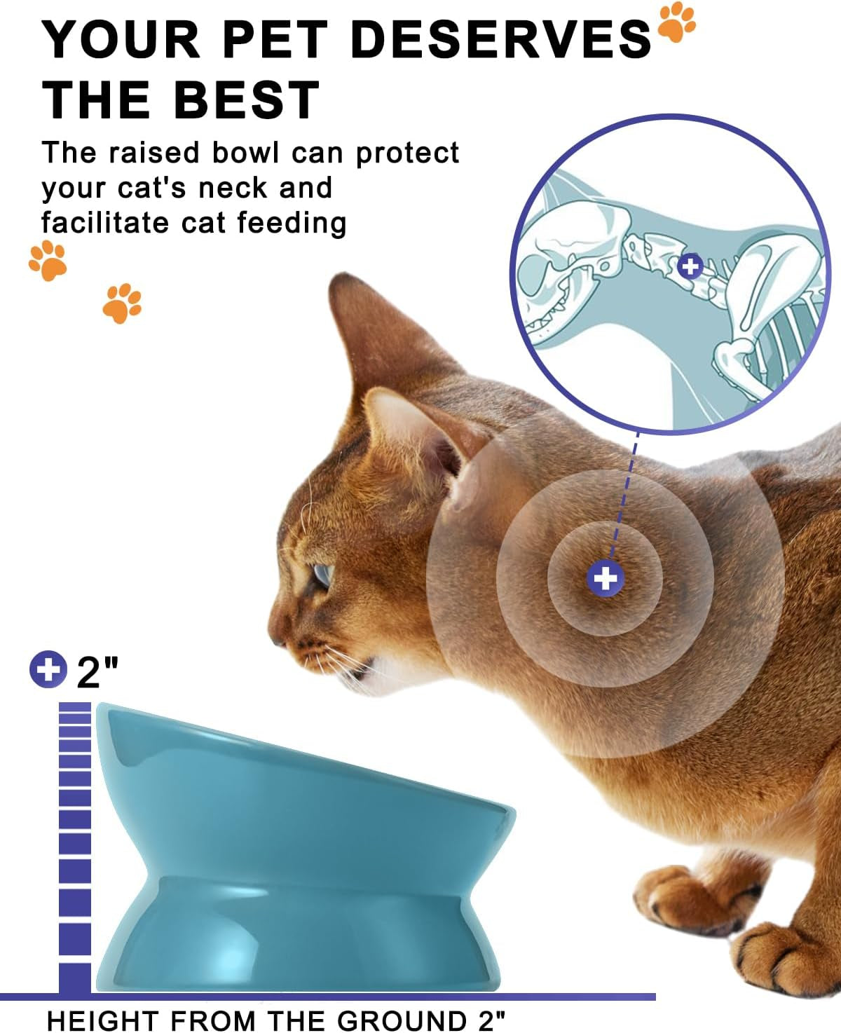 Elevated Ceramic Cat Bowl – Raised, Tilted Design