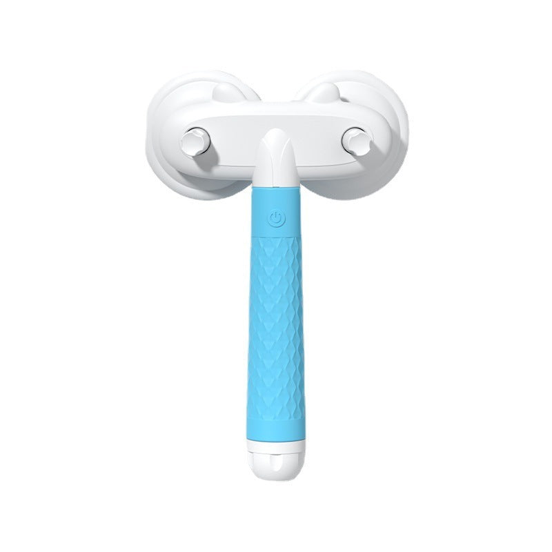 Dual-Head Pet Brush with Negative Ion Technology