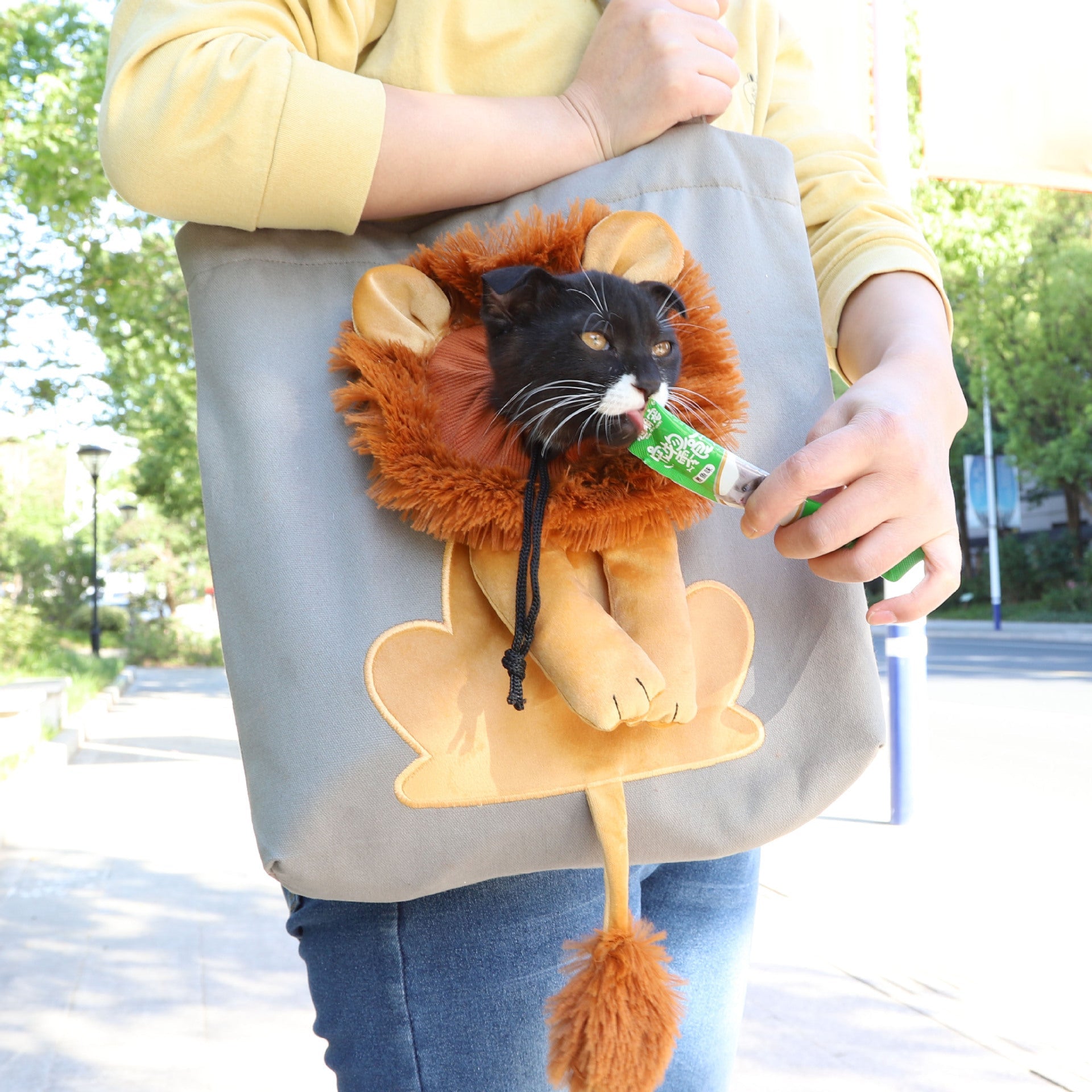 Lion Design Canvas Pet Carrier for Small Dogs and Cats