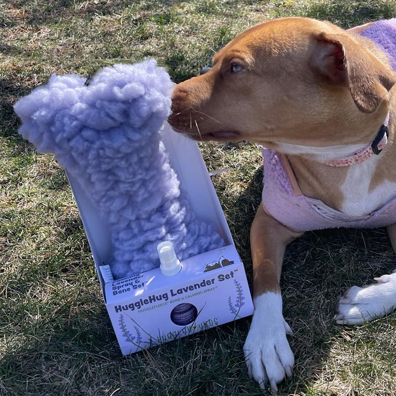 HuggleHug Lavender Bone & Calming Spray Set for Dogs