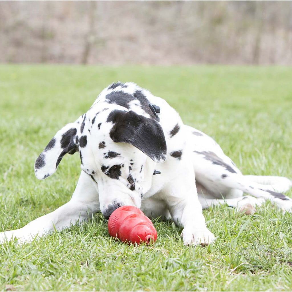 KONG STUFF’N Dog Treat Tube for Toy Filling and Training