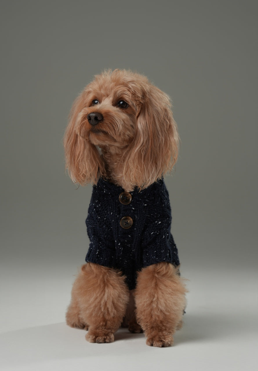 High-Neck Textured Knit Dog Sweater with Chest Buttons