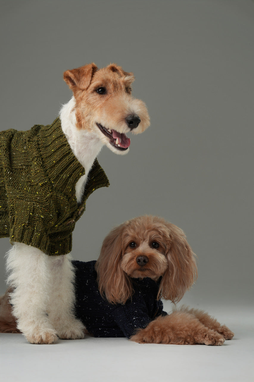 High-Neck Textured Knit Dog Sweater with Chest Buttons