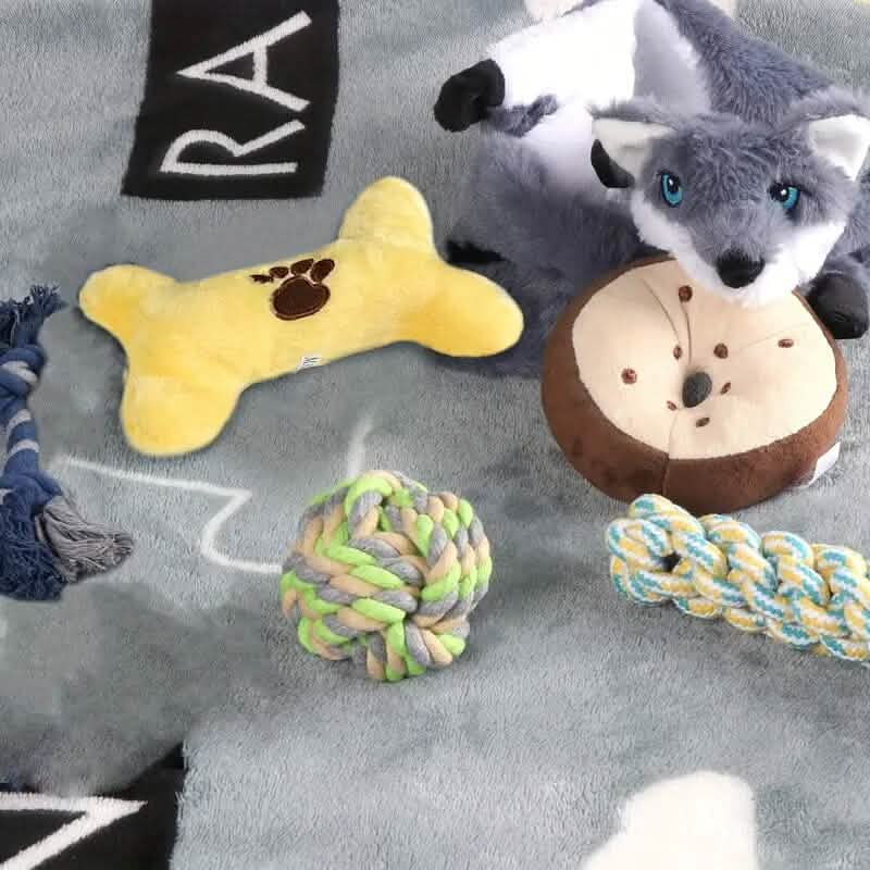 6-Pack Durable Squeaky Dog Toys for Small Dogs, No Stuffing