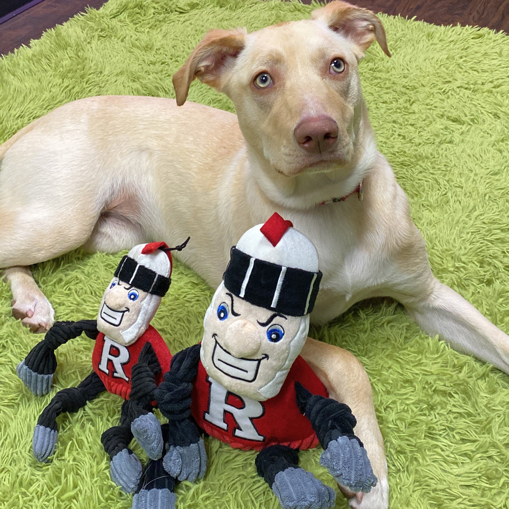 Rutgers Scarlet Knight Mascot Plush Dog Toy with Squeakers
