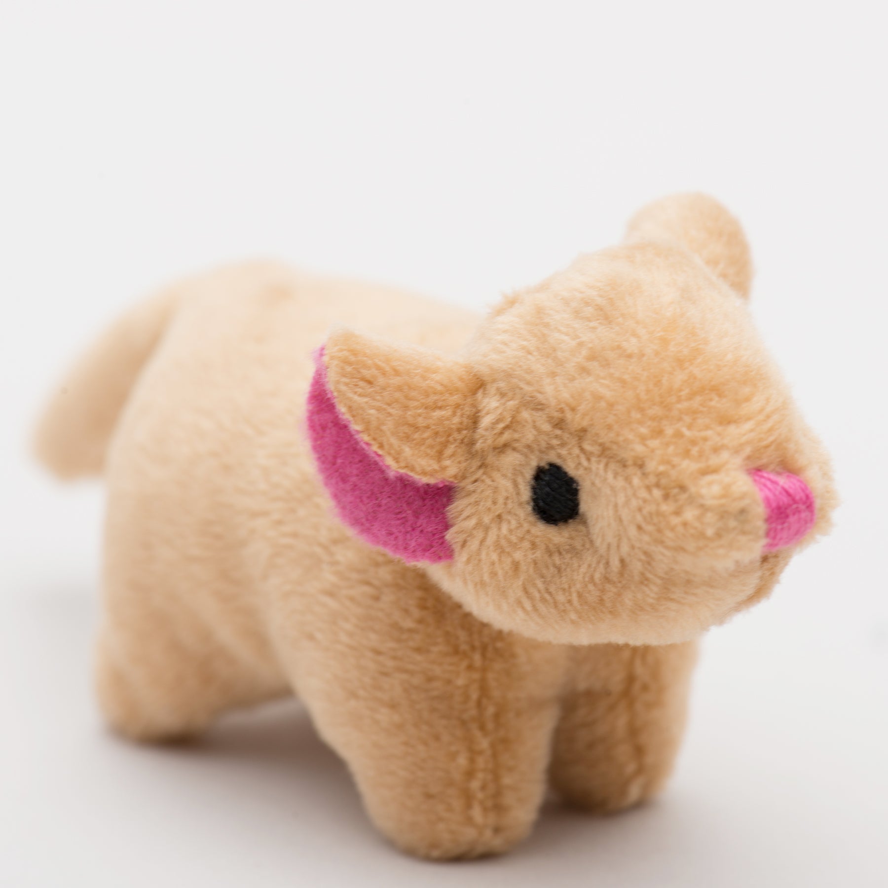 HuntieBuddies Cat Toys – Prey-Inspired, Catnip-Infused Variety