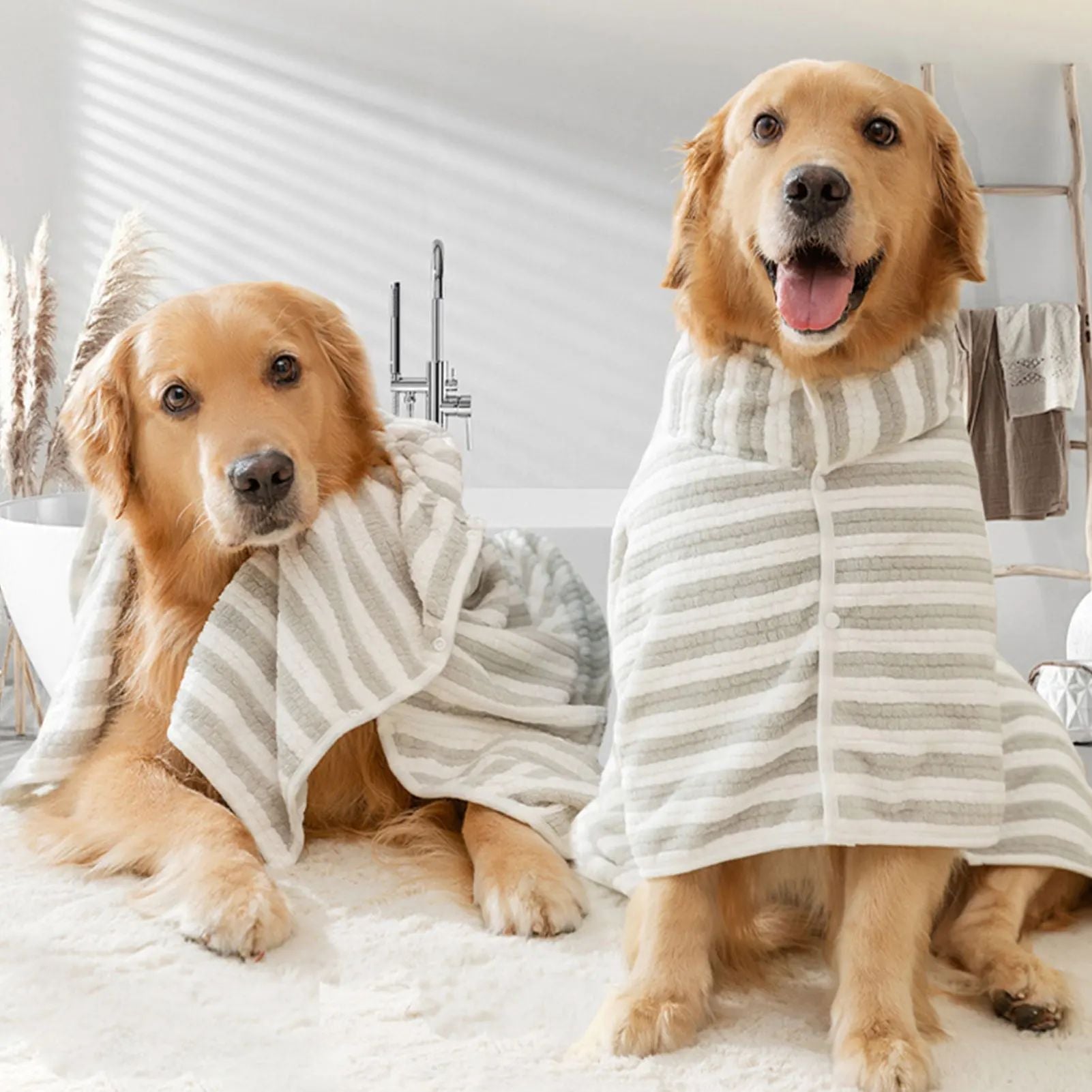 Spacious Dog Bed for All Sizes – Four Size Options