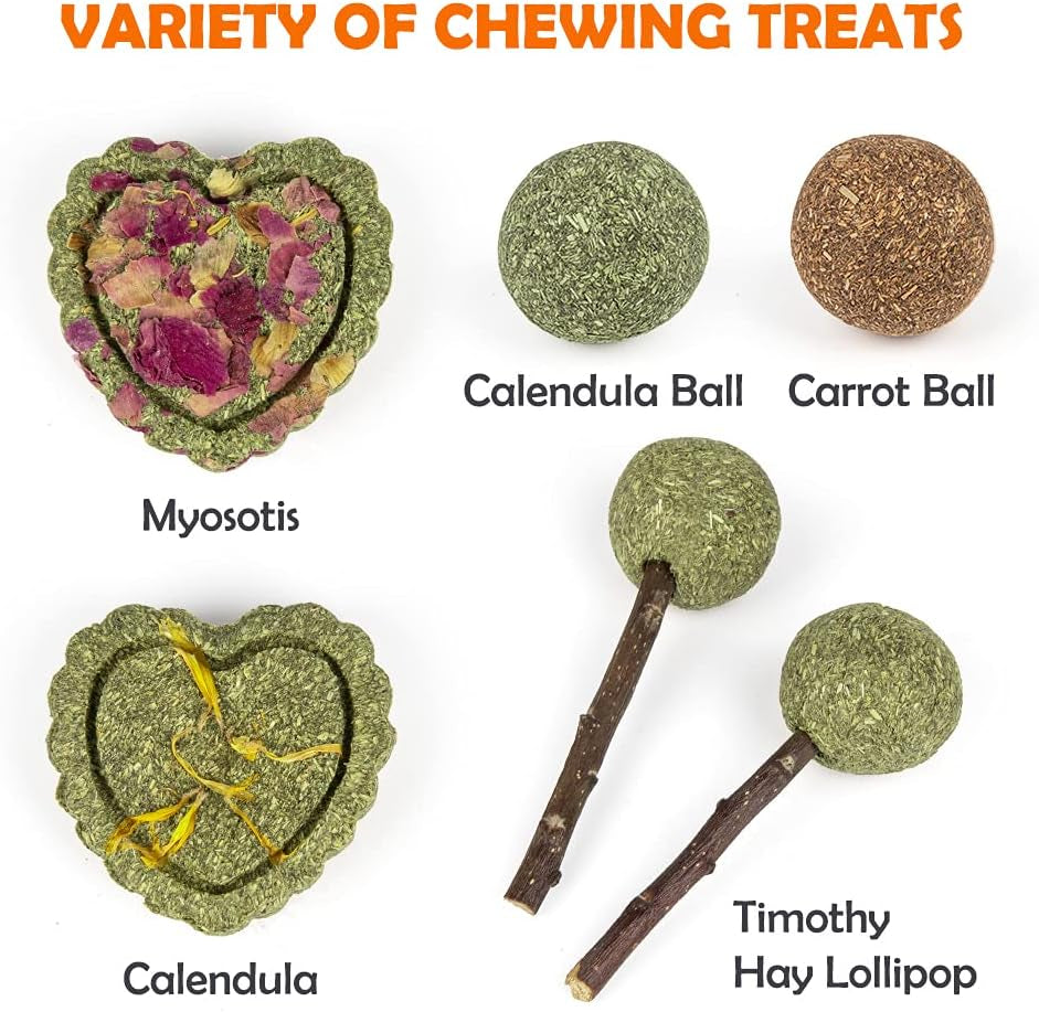 Natural Chew Toy and Treat Set for Small Pets, 13 Pieces