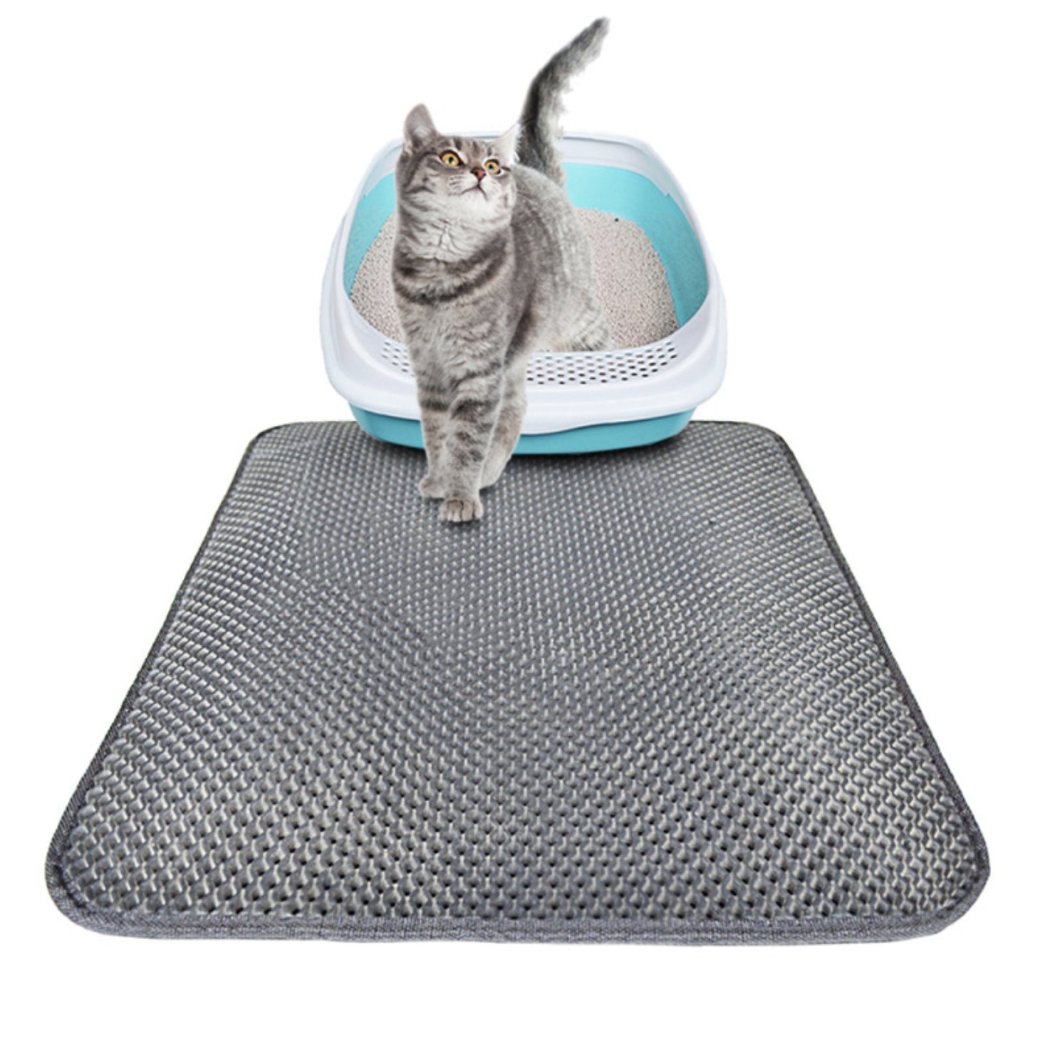 EVA Cat Litter Mat – Waterproof, Foldable, Black or Grey, S–L