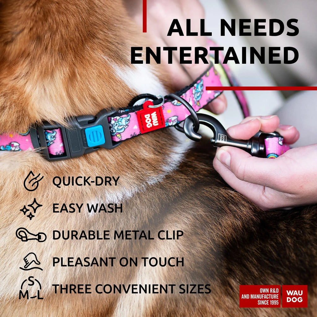 Nylon Dog Leash for Small Dogs Medium Dogs 4 Ft x 4/5 inch Wide Unicorns Color