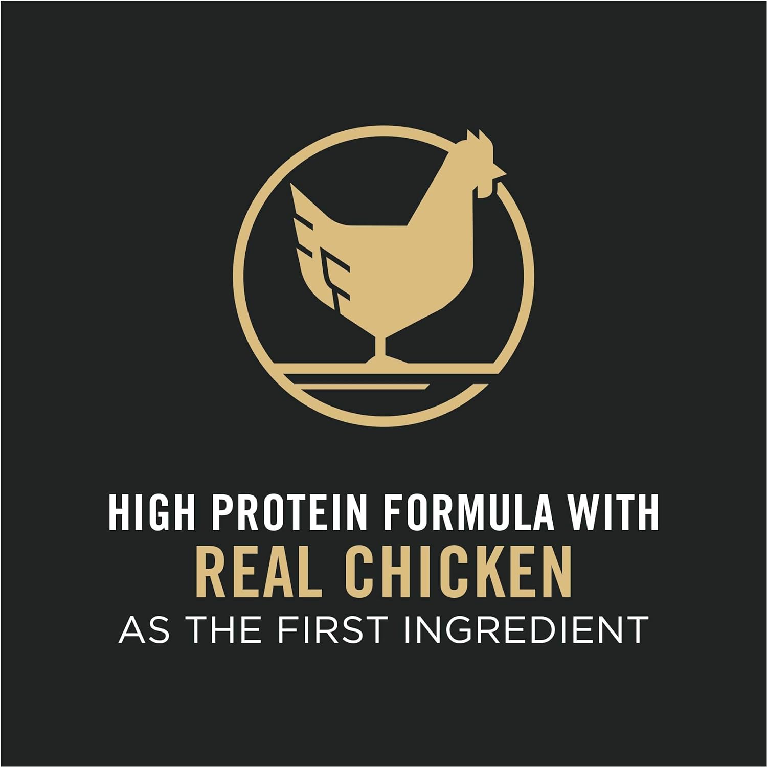 Chicken & Rice Adult Dog Food with Crunchy and Shredded Pieces