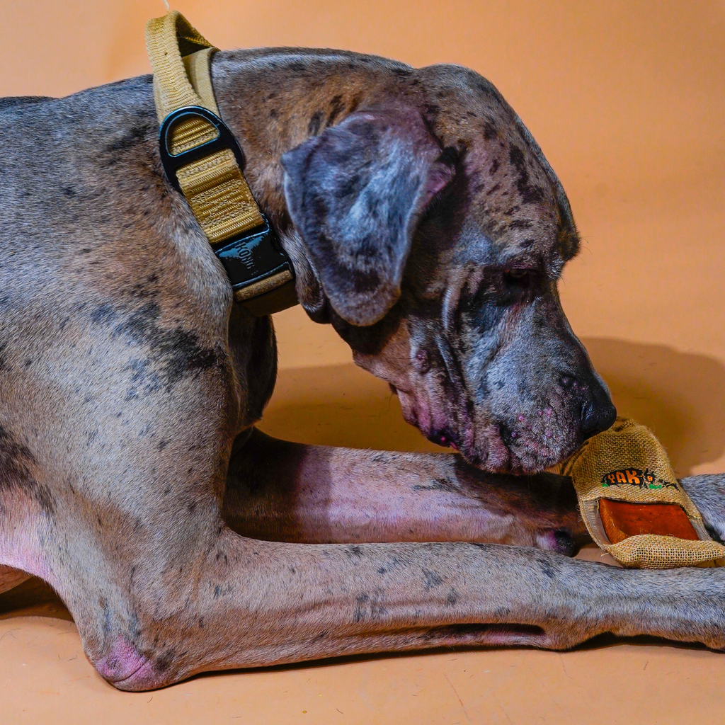 Yak-9 Himalayan Yak Milk Dog Chew