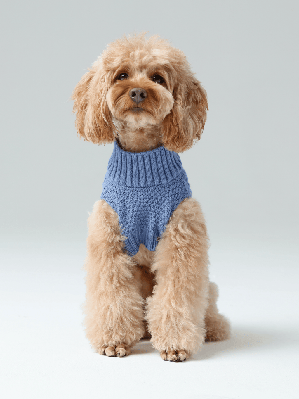 Knit Pet Sweater in Breathable Acrylic Fiber