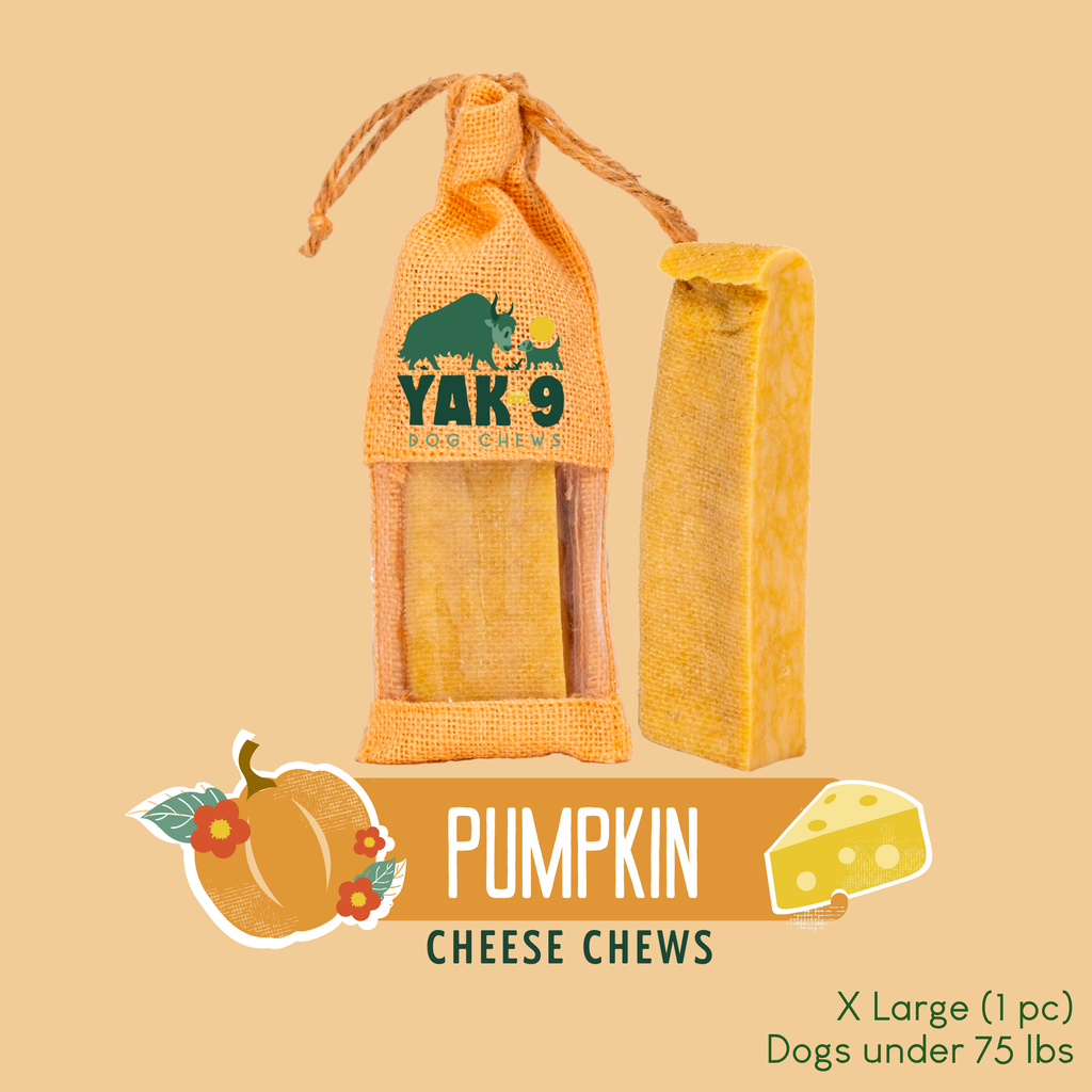 Pumpkin Yak Cheese Dog Chews with Organic Pumpkin