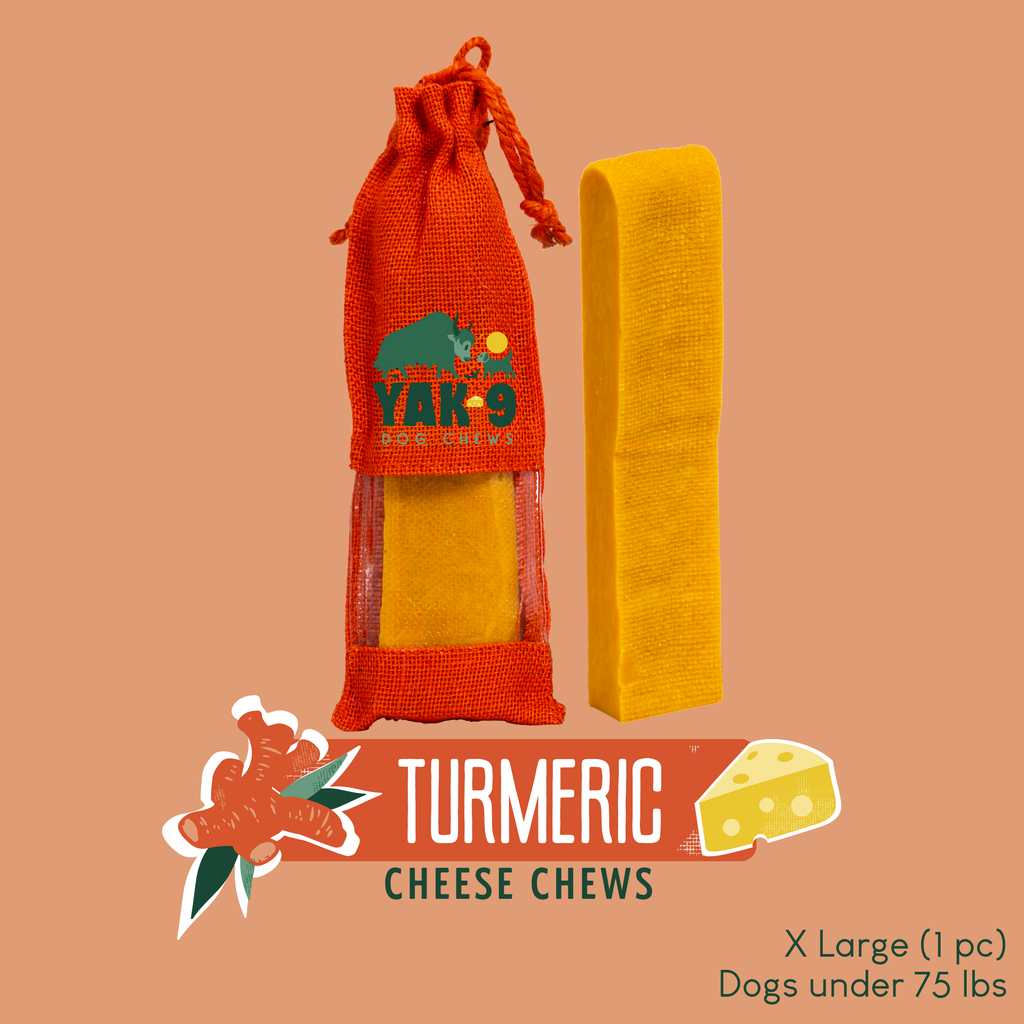 Turmeric Yak Cheese Dog Chews
