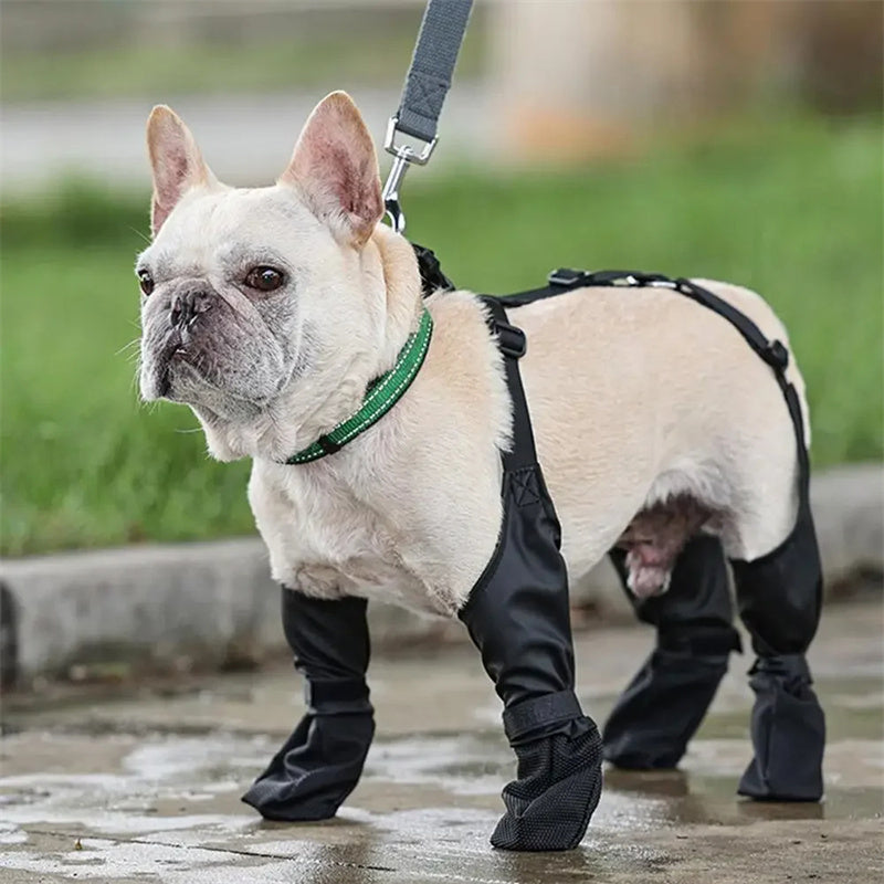 Soft Dog Paw Non-Slip Shoes, Waterproof, Black (Set of 4)