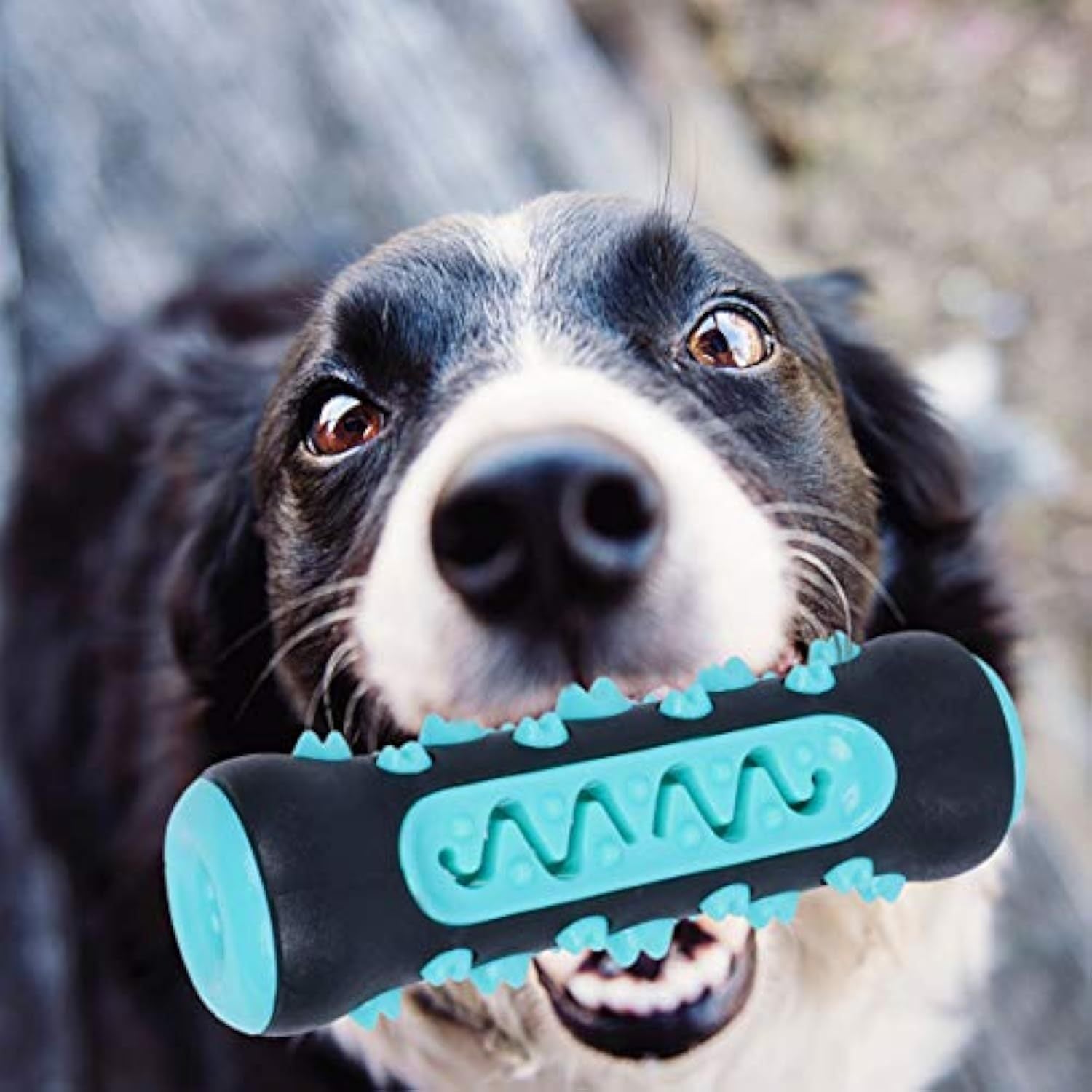 Dog Toothbrush Chew Toy, Durable Dental Stick, 15 x 5 cm
