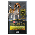 High-Protein Chicken Weight Management Dog Food for Adults