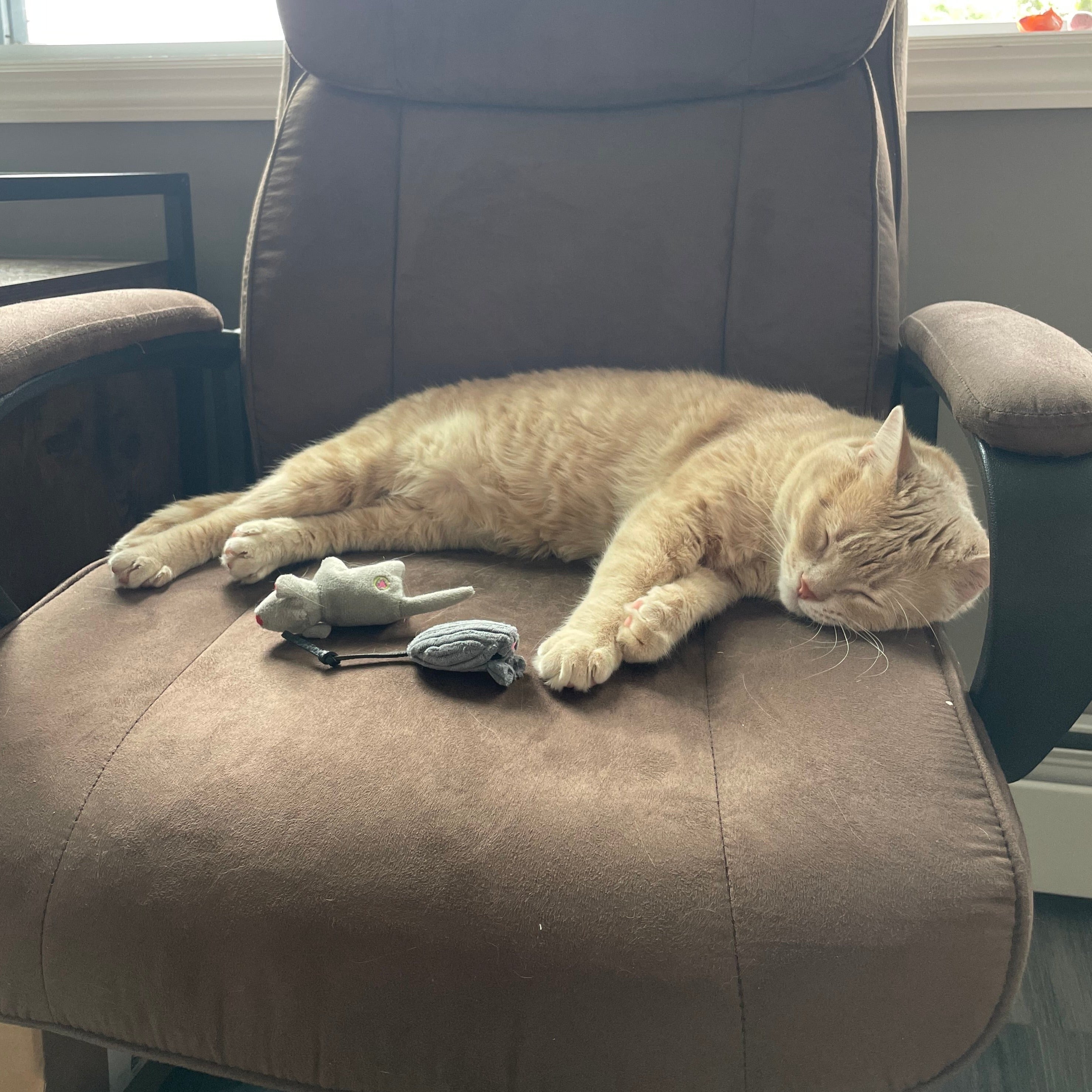 HuntieBuddies Cat Toys – Prey-Inspired, Catnip-Infused Variety