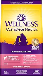 Salmon & Rice Dry Dog Food for Sensitive Skin & Stomach, Adult