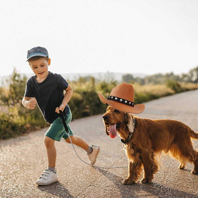 Star Cowboy Hat for Cats and Small Dogs, Adjustable Fit