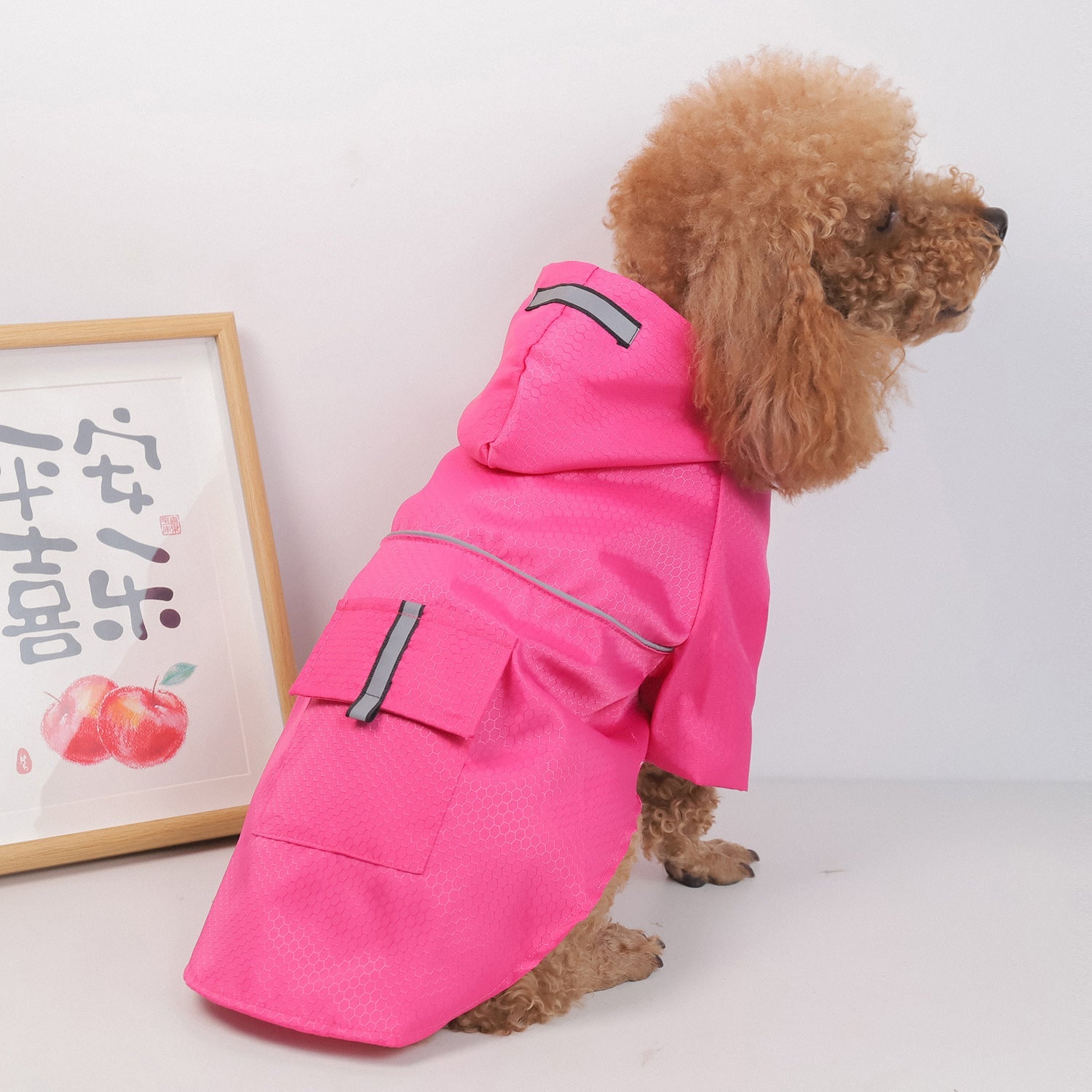 Dog Shirt – Lightweight Polyester, Multiple Colors & Sizes