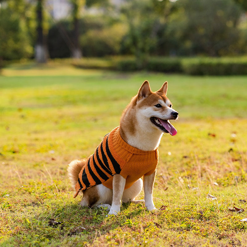 Halloween Dog Sweater – Acrylic Knit, Multiple Colors & Sizes