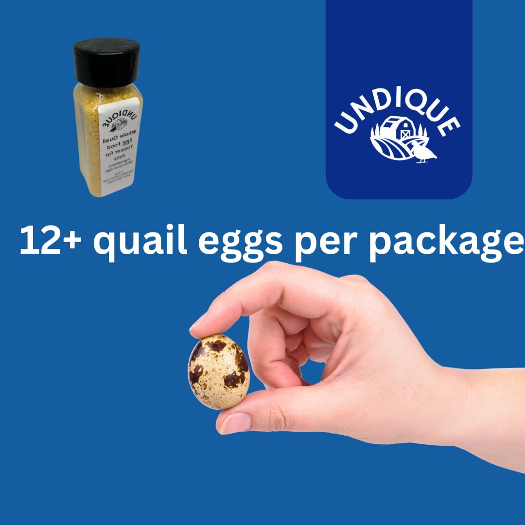 Quailicious Boost Freeze-Dried Quail Egg Topper for Dogs