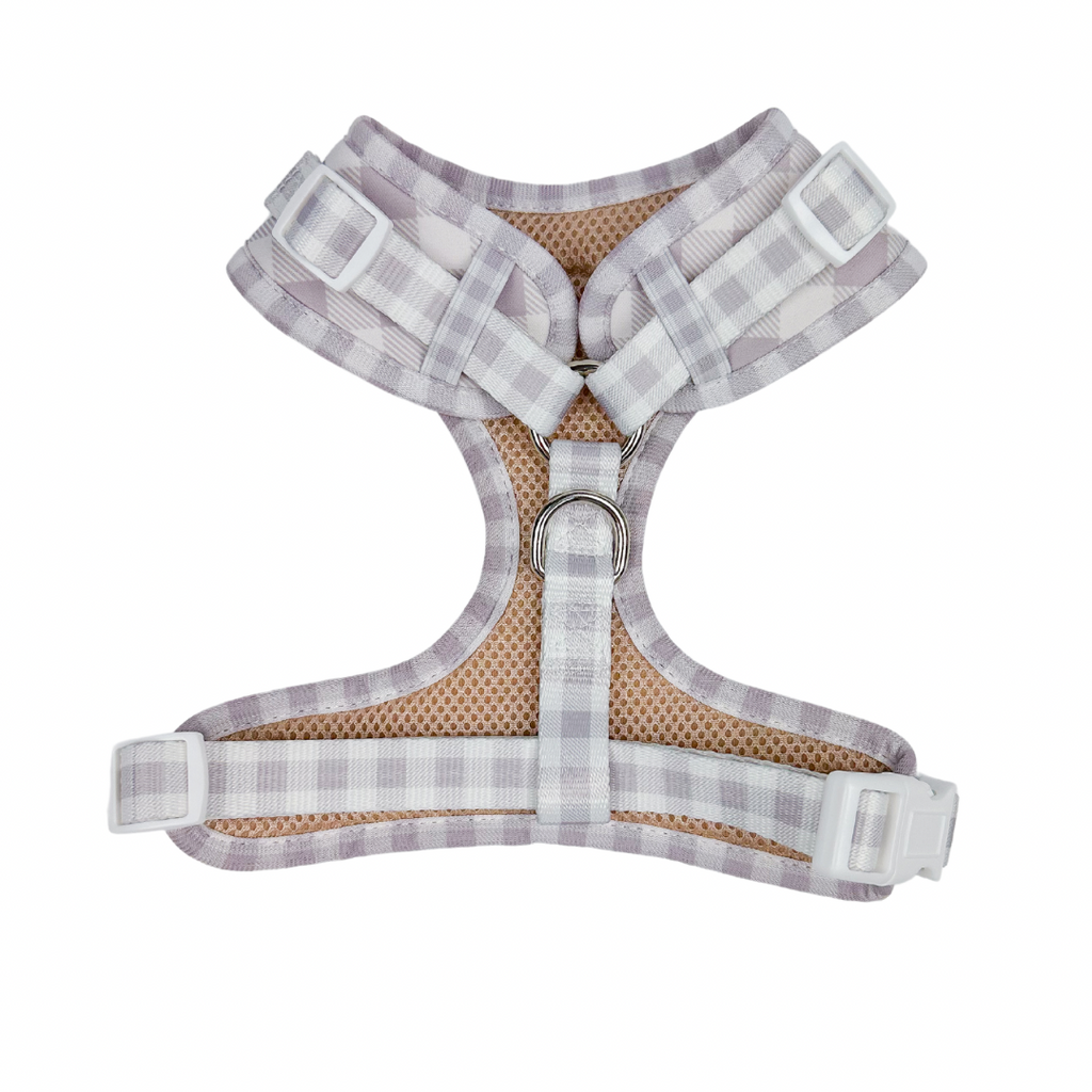 Holiday Neoprene Dog Harness – Limited Edition Collection