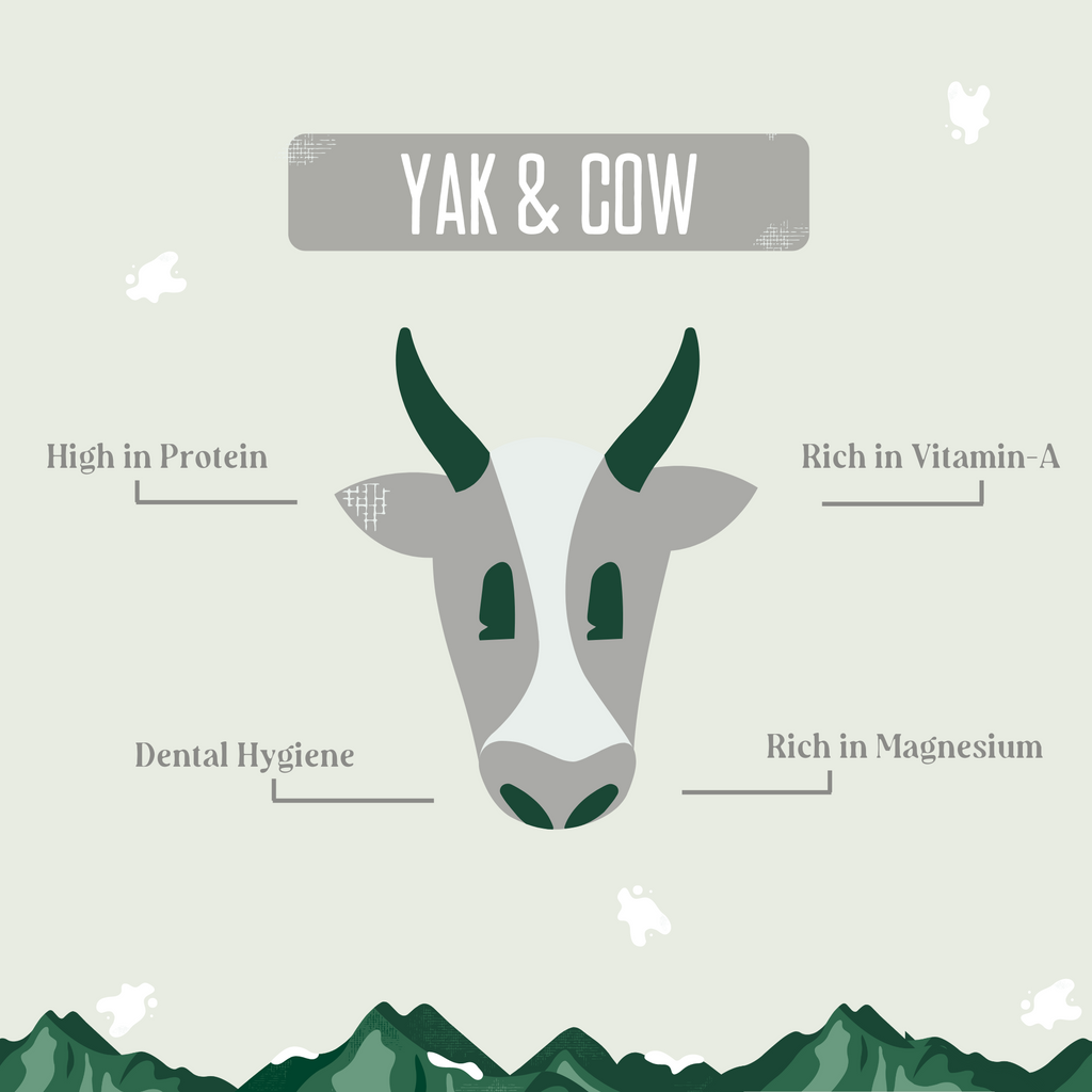 Himalayan Yak and Cow Milk Dog Chew