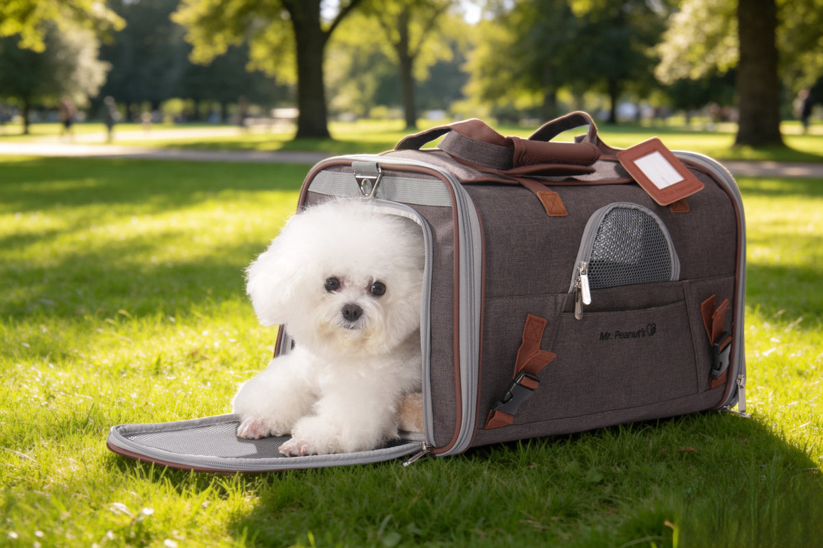 Mr. Peanut's Gold Series V3.0 Pet Carrier
