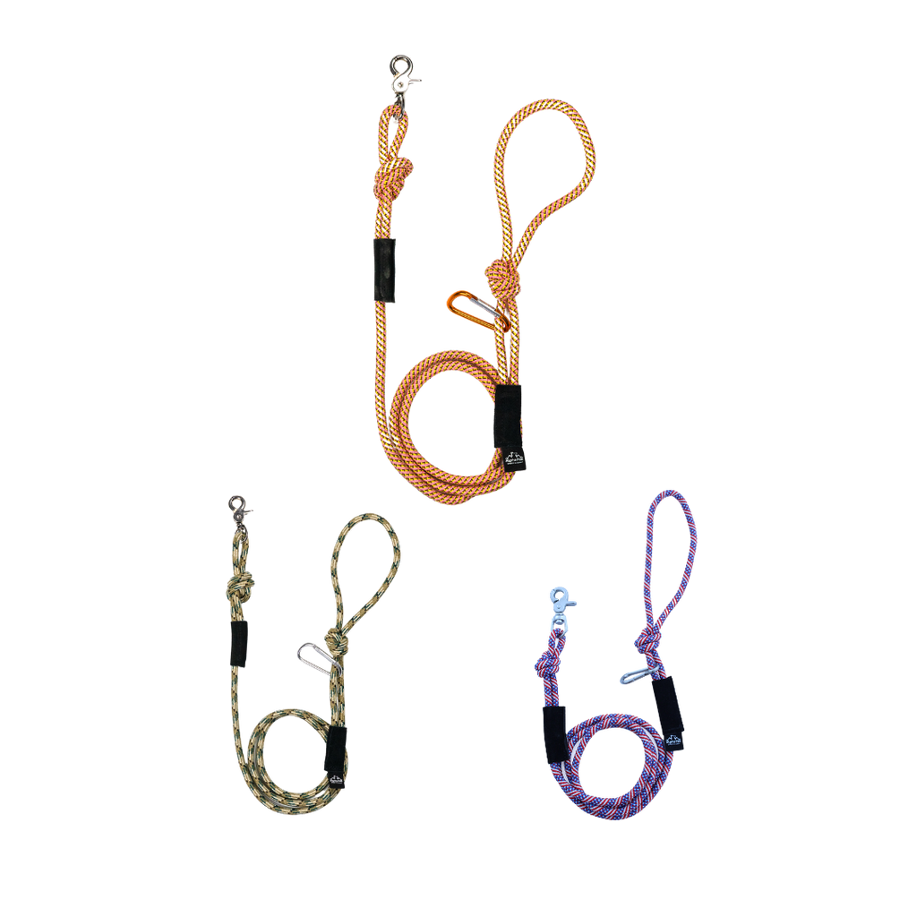 Kernmantle Rope Dog Leash for Medium and Small Dogs