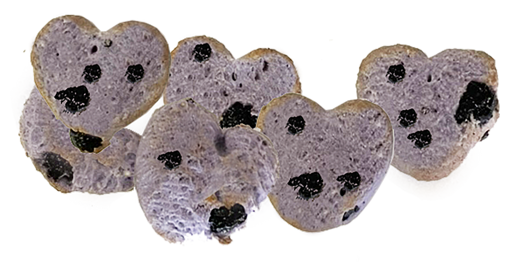 Blueberry & Oat Dog Treats with Avocado Oil, Fresh-Keeper Canister