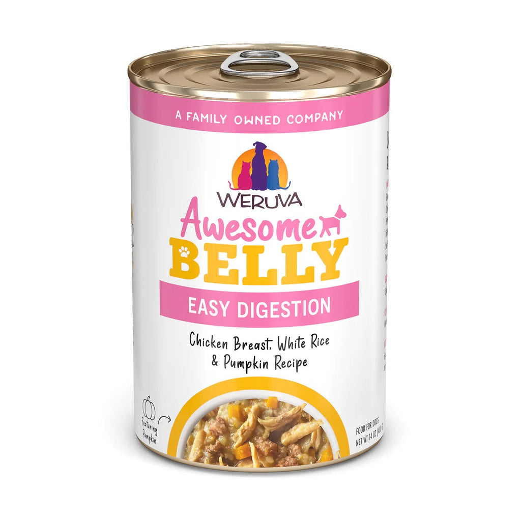 Chicken & Rice Sensitive Stomach Dog Food with Pumpkin
