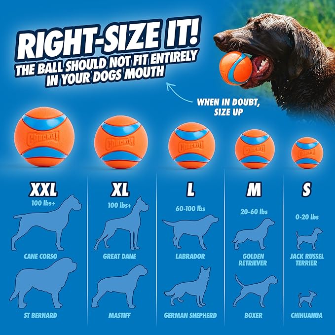 Dog Ball Launcher for Medium to Large Dogs, 3" Ball Compatible