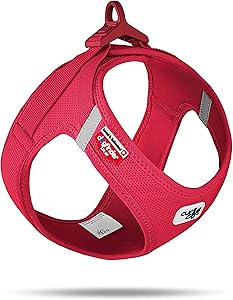 Lightweight Air Mesh Dog Harness with Adjustable Fit