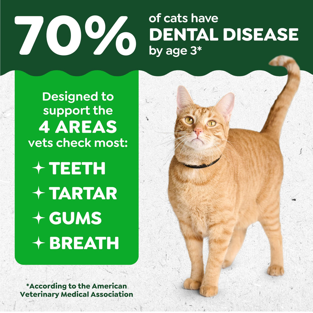 Feline Greenies Dental Cat Treats Tuna Flavor for Adult Cats