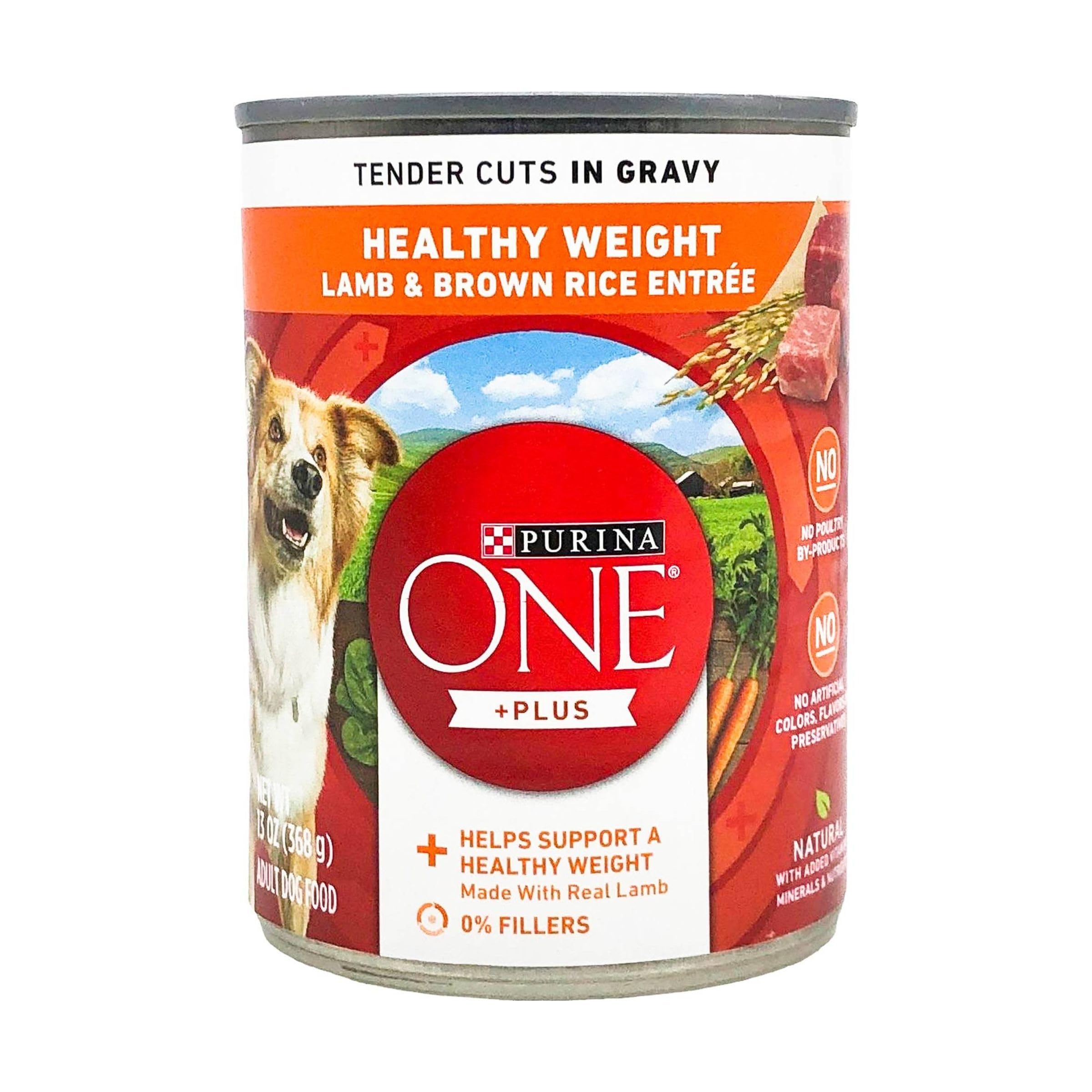 Lamb & Brown Rice Adult Dog Food with Vegetables in Gravy