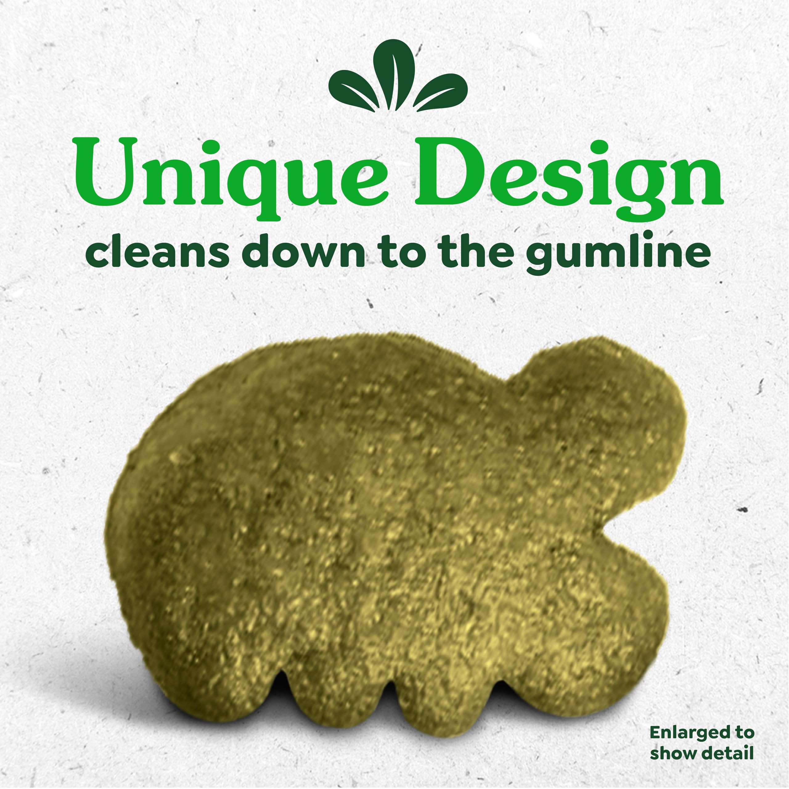 Feline Greenies Dental Cat Treats Tuna Flavor for Adult Cats