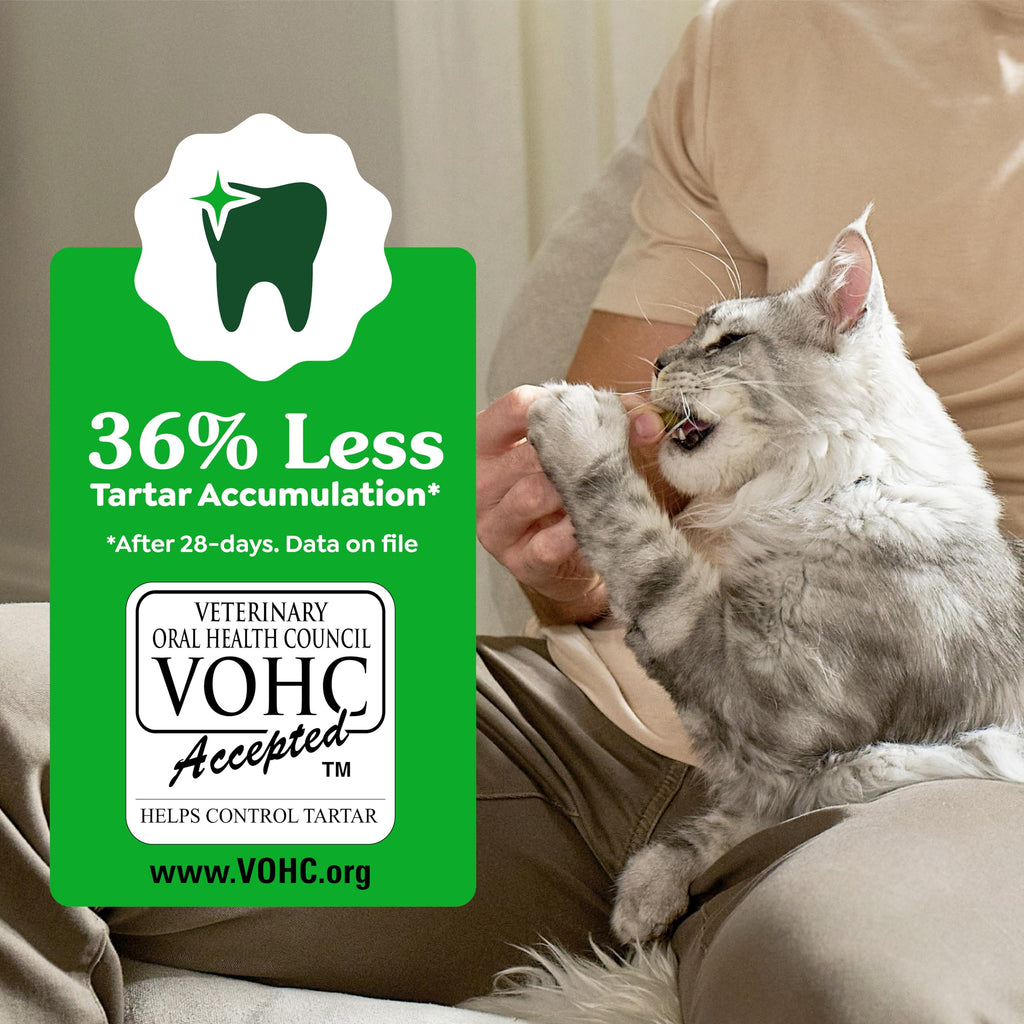 Feline Greenies Dental Cat Treats Tuna Flavor for Adult Cats